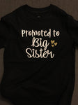 Promoted to Big Sister, Girl Shirt, Pregnancy Announcement
